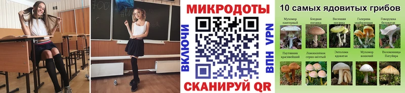 Галлюциногенные грибы мухоморы  Таштагол 